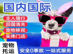 临沂启阳机场快递国际宠物托运 【国